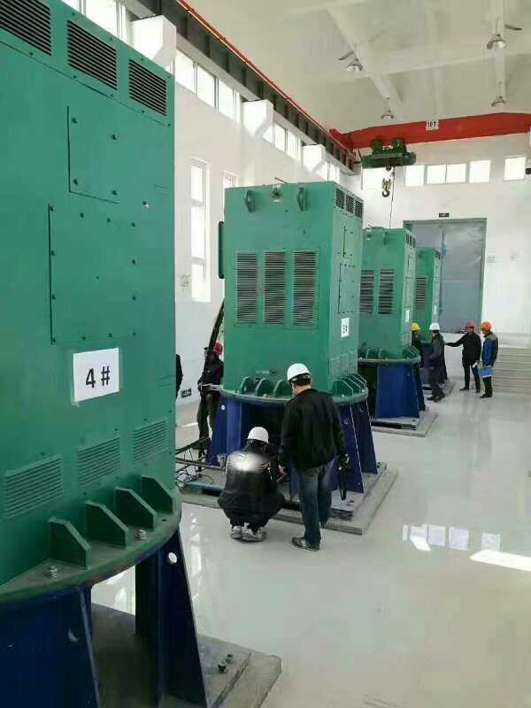 中平镇某污水处理厂使用我厂的立式高压电机安装现场
