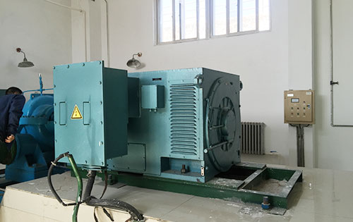 中平镇某水电站工程主水泵使用我公司高压电机